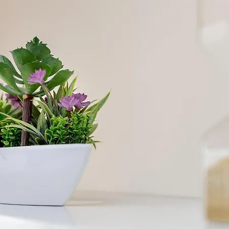 Summertime In South Bay